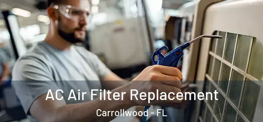 AC Air Filter Replacement Carrollwood - FL