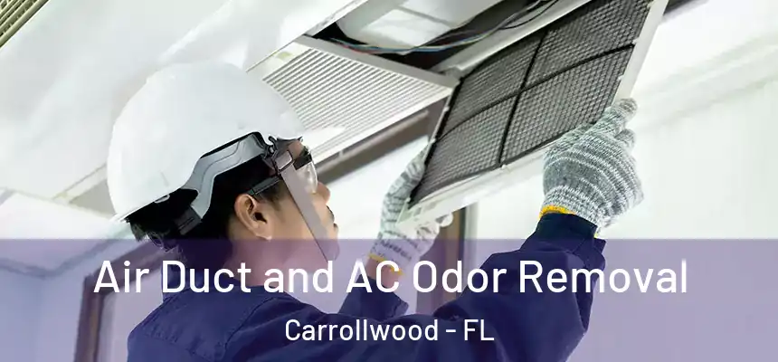  Air Duct and AC Odor Removal Carrollwood - FL