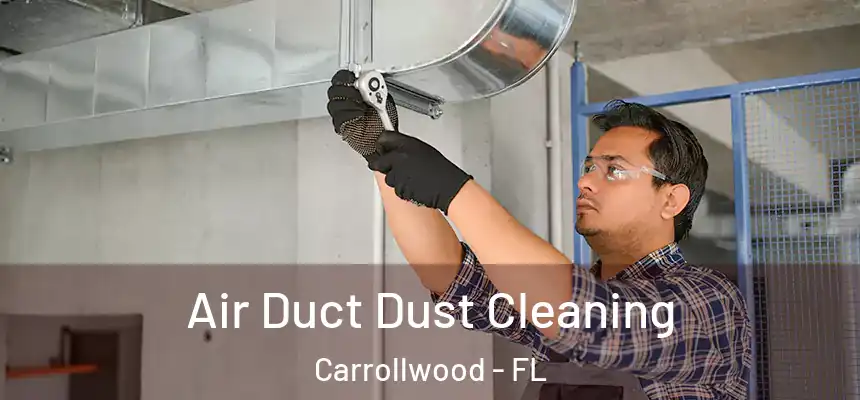  Air Duct Dust Cleaning Carrollwood - FL
