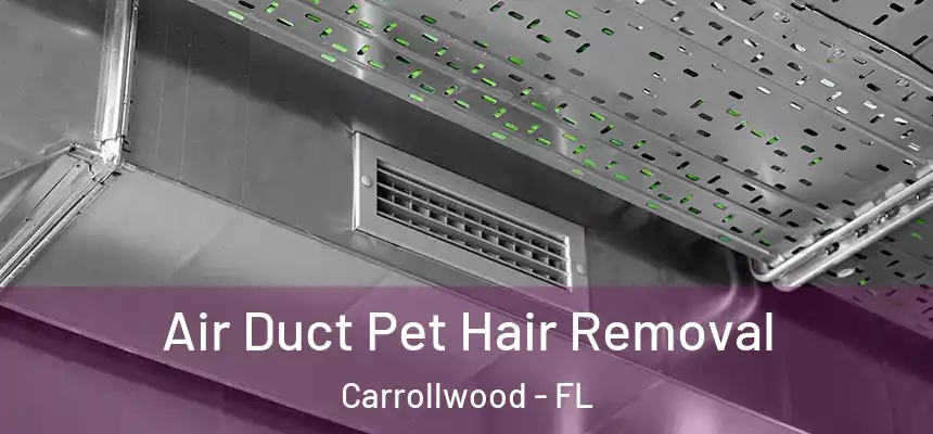  Air Duct Pet Hair Removal Carrollwood - FL
