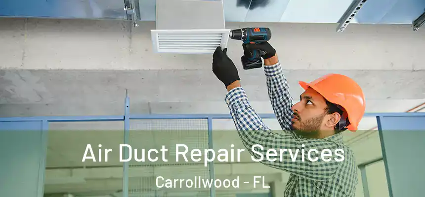  Air Duct Repair Services Carrollwood - FL