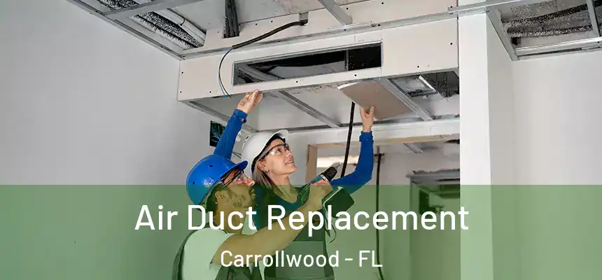  Air Duct Replacement Carrollwood - FL