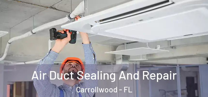  Air Duct Sealing And Repair Carrollwood - FL