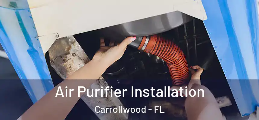  Air Purifier Installation Carrollwood - FL