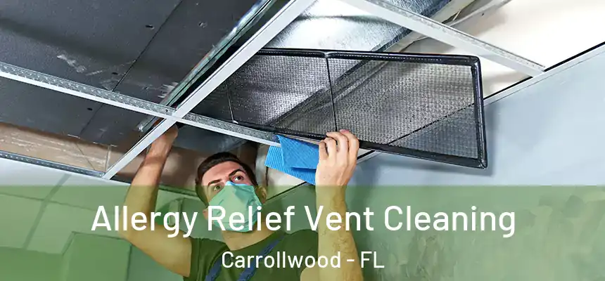  Allergy Relief Vent Cleaning Carrollwood - FL