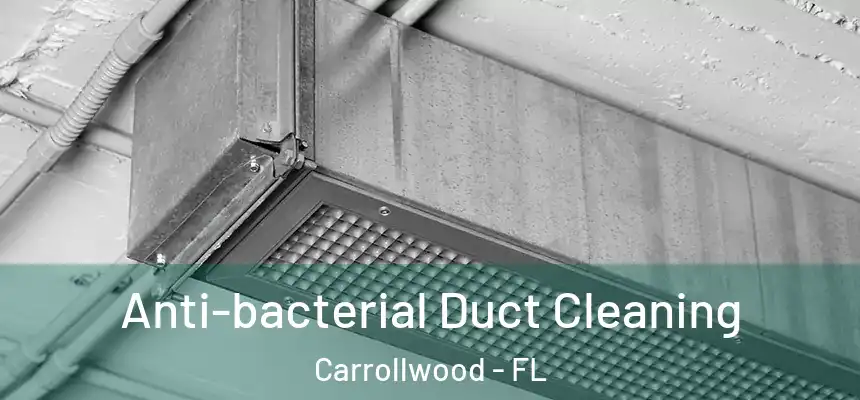  Anti-bacterial Duct Cleaning Carrollwood - FL