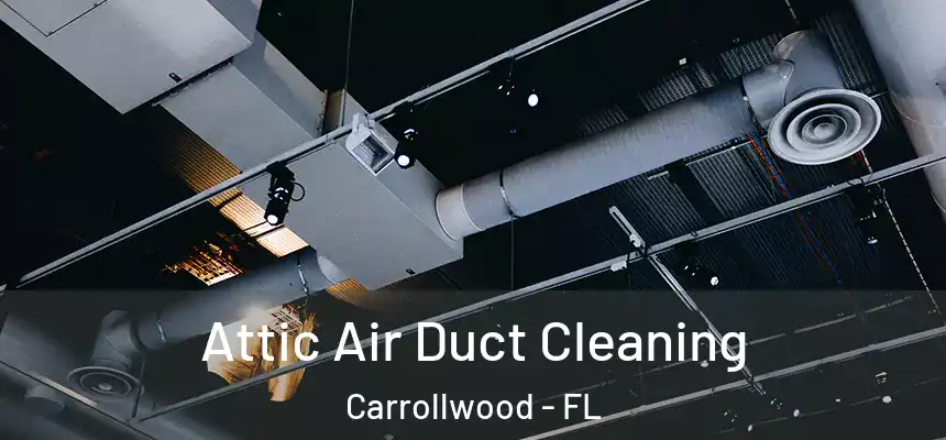  Attic Air Duct Cleaning Carrollwood - FL