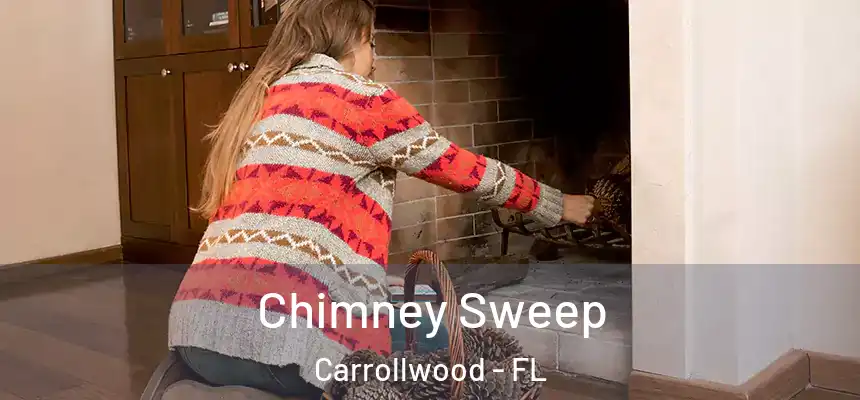  Chimney Sweep Carrollwood - FL