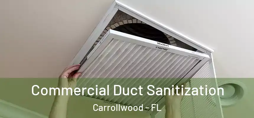  Commercial Duct Sanitization Carrollwood - FL