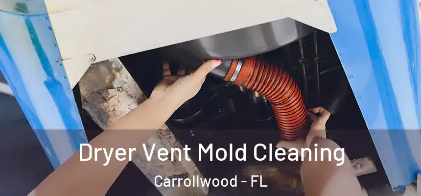  Dryer Vent Mold Cleaning Carrollwood - FL