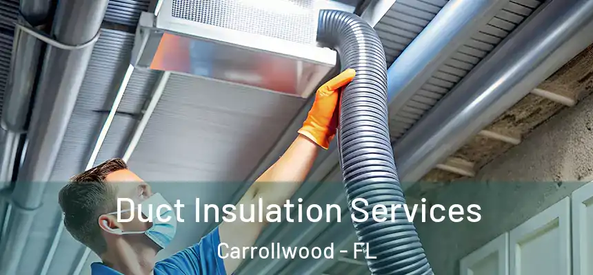  Duct Insulation Services Carrollwood - FL