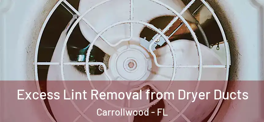  Excess Lint Removal from Dryer Ducts Carrollwood - FL