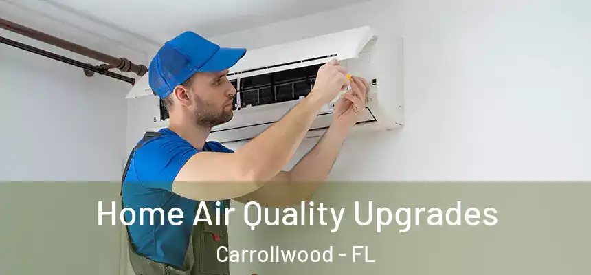  Home Air Quality Upgrades Carrollwood - FL