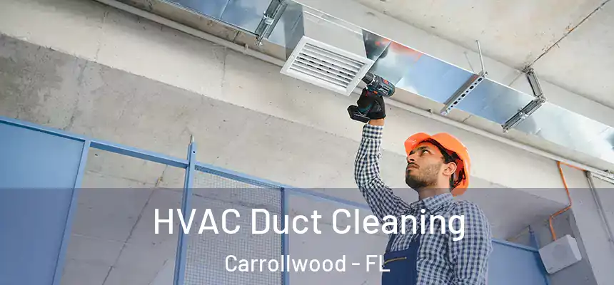  HVAC Duct Cleaning Carrollwood - FL