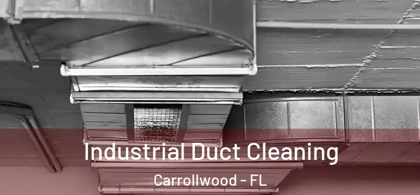  Industrial Duct Cleaning Carrollwood - FL