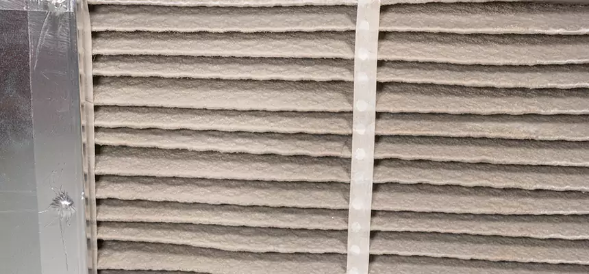 Mobile Car AC Filter Replacement in Carrollwood