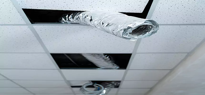 Our Air Duct Pet Hair Removal Services in Carrollwood, FL