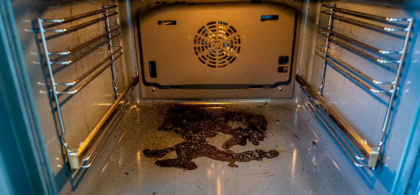 Our Dryer Vent Mold Cleaning Services in Carrollwood, FL