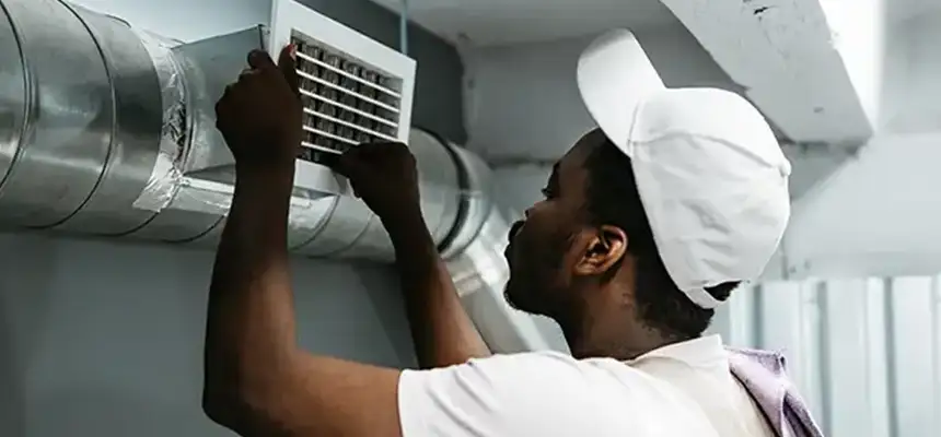 Our Licensed And Insured Cleaners in Carrollwood, FL