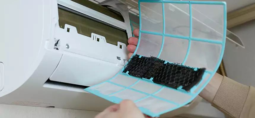 Gentle Ductwork Odor-Control Pet Dander Duct Cleaning in Carrollwood, FL