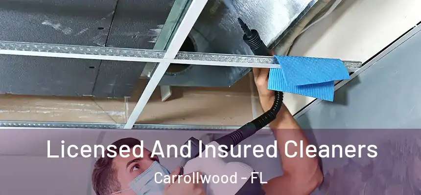  Licensed And Insured Cleaners Carrollwood - FL