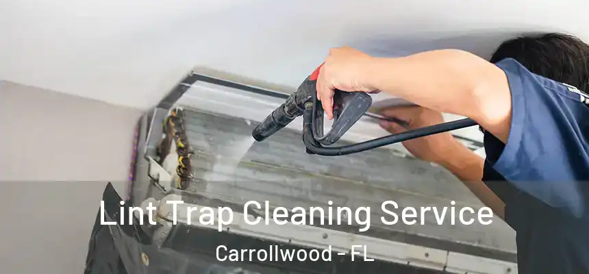  Lint Trap Cleaning Service Carrollwood - FL