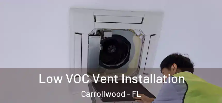  Low VOC Vent Installation Carrollwood - FL