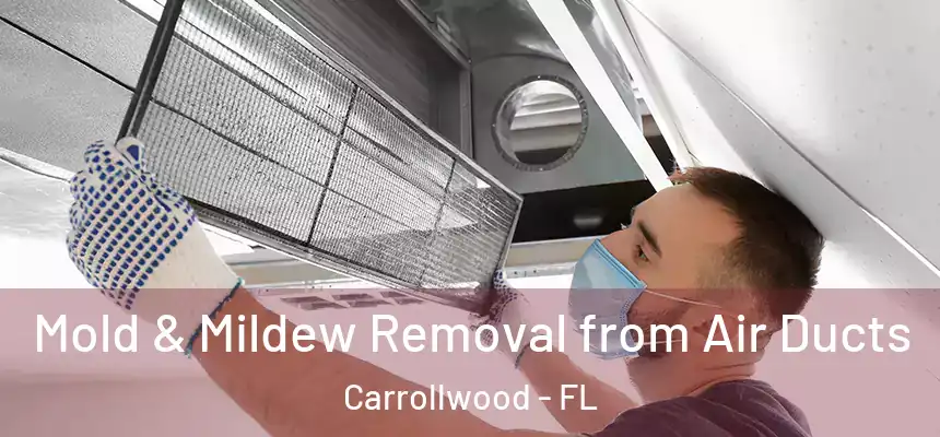  Mold & Mildew Removal from Air Ducts Carrollwood - FL