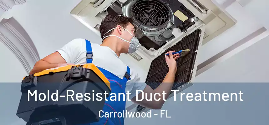  Mold-Resistant Duct Treatment Carrollwood - FL