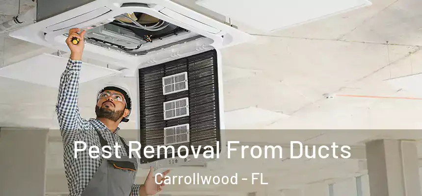  Pest Removal From Ducts Carrollwood - FL