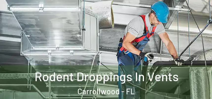  Rodent Droppings In Vents Carrollwood - FL