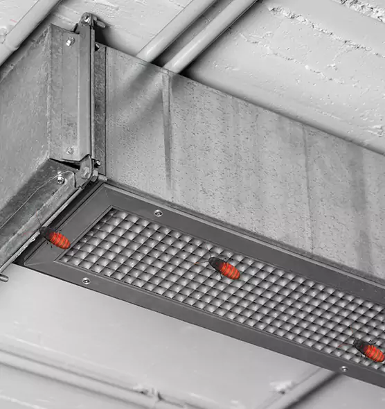 About Air Duct Cockroach Removal in Carrollwood, FL