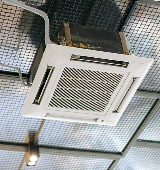 Top-Notch Allergy Relief Vent Cleaning Services in Carrollwood, FL