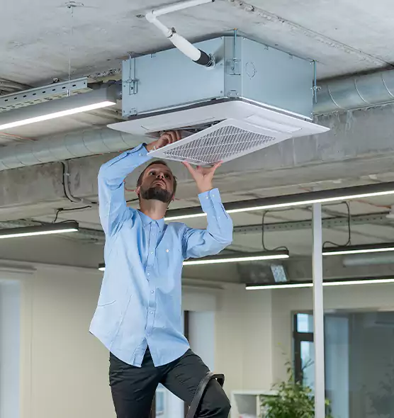 Advanced Rodent Droppings In Vents in Carrollwood, FL