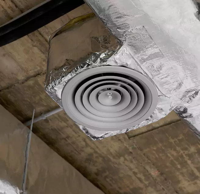 Why Homeowners & Businesses Trust Us in Carrollwood, FL?