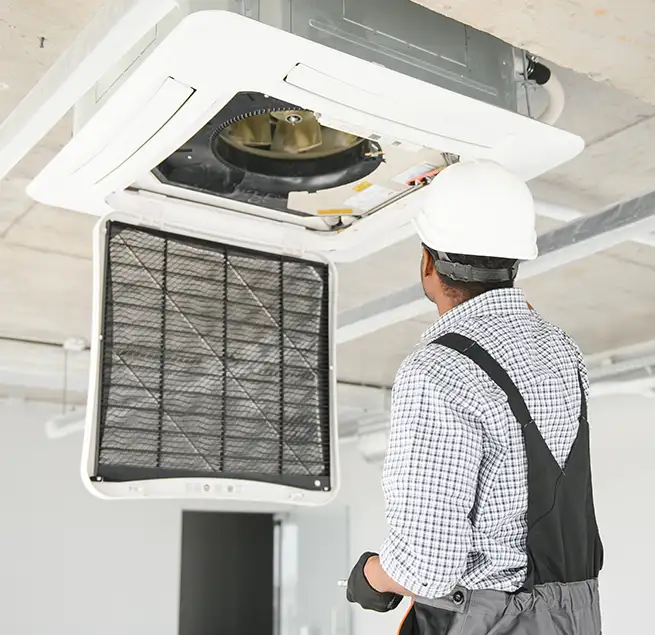 Why Homeowners & Businesses Trust Us in Carrollwood, FL?