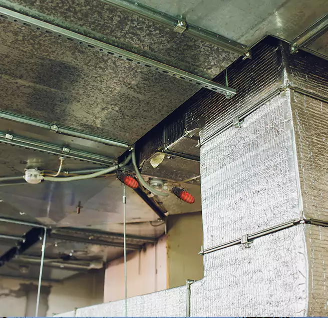 Why Homeowners & Businesses Trust Us in Carrollwood, FL?