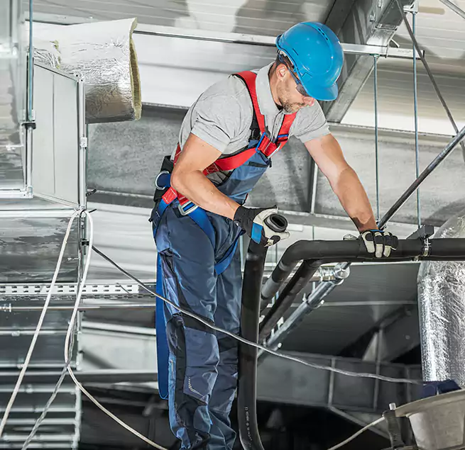 Why Homeowners & Businesses Trust Us in Carrollwood, FL?