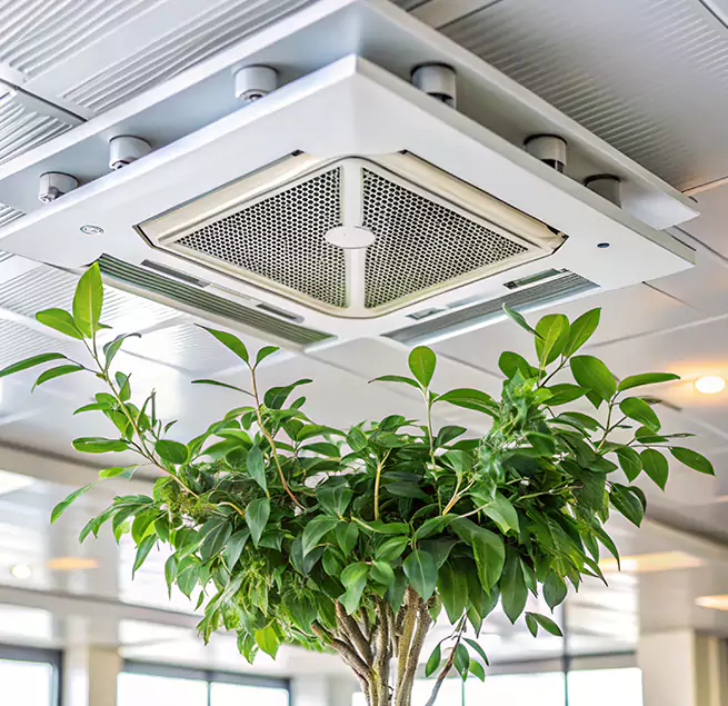 Why Homeowners & Businesses Trust Us in Carrollwood, FL?