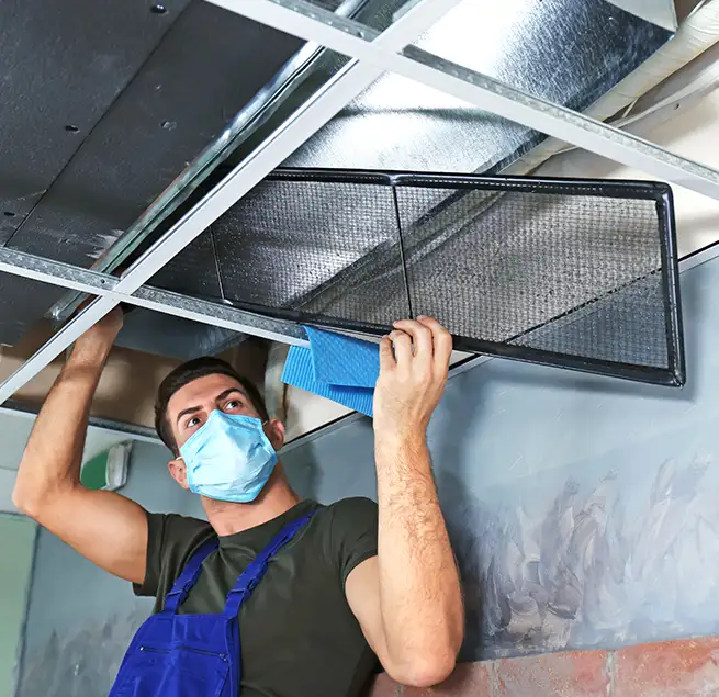 Why Homeowners & Businesses Trust Us in Carrollwood, FL?