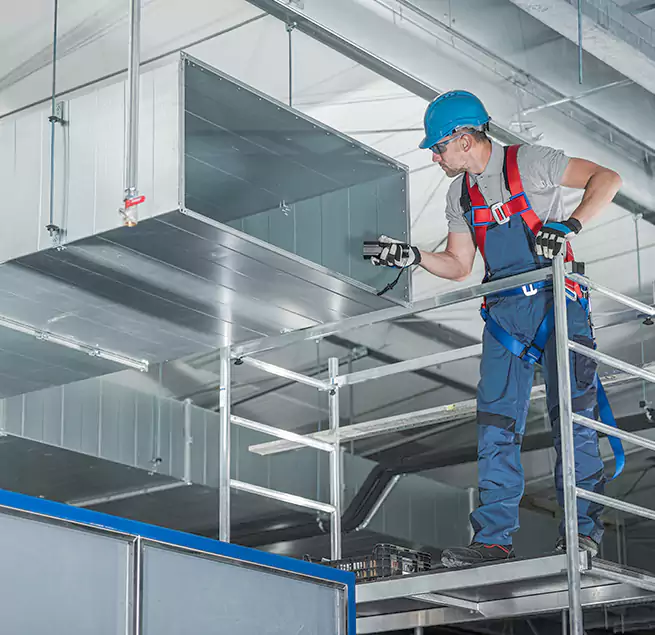 Why Homeowners & Businesses Trust Us in Carrollwood, FL?