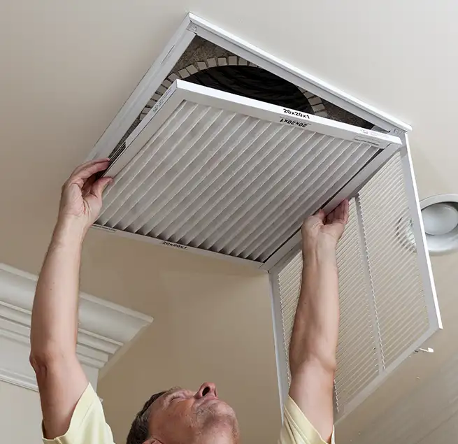 Why Homeowners & Businesses Trust Us in Carrollwood, FL?