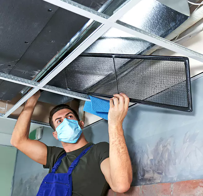  Why Homeowners Businesses Trust Us  in Carrollwood, FL?