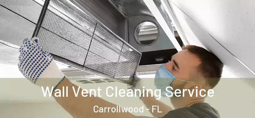  Wall Vent Cleaning Service Carrollwood - FL