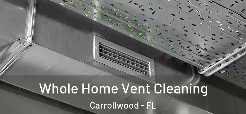  Whole Home Vent Cleaning Carrollwood - FL